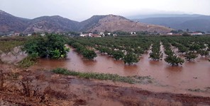 Θεσσαλία: Αποζημιώσεις 12 εκατ. ευρώ για πλημμυρισμένα χωράφια με "φερτά" υλικά 